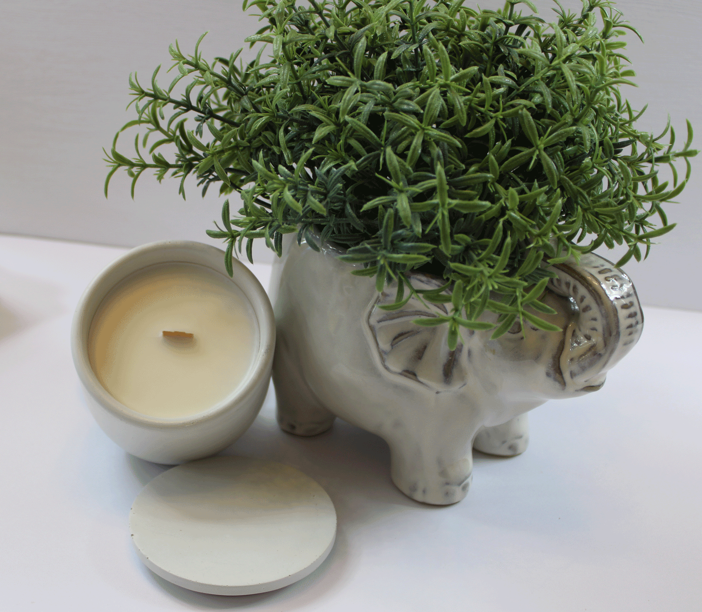 Coconut Soy blend candle made in Rhode Island Birch Beauty