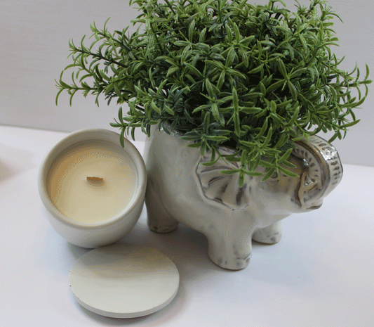 Coconut Soy blend candle made in Rhode Island Birch Beauty