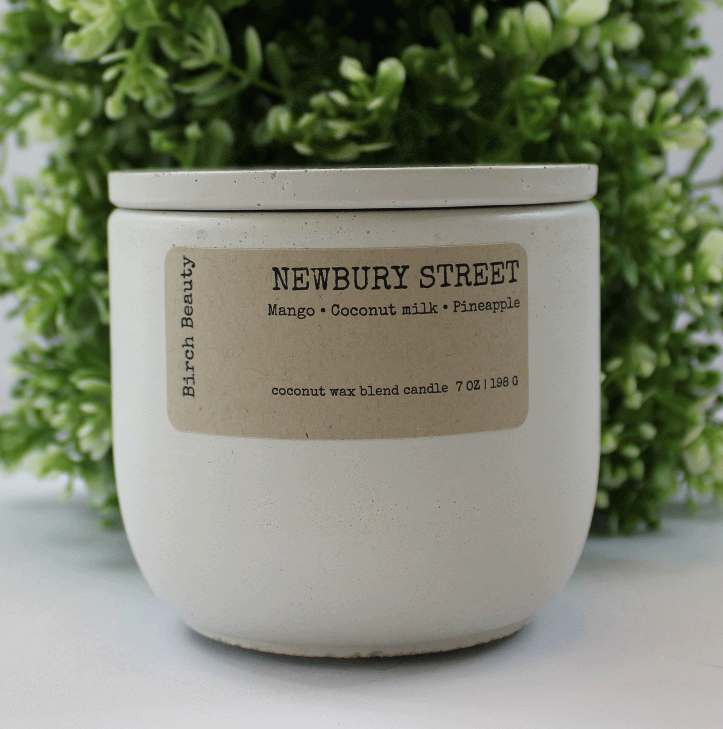 Newbury St Coconut soy was candle handmade in Rhode Island by Birch Beauty