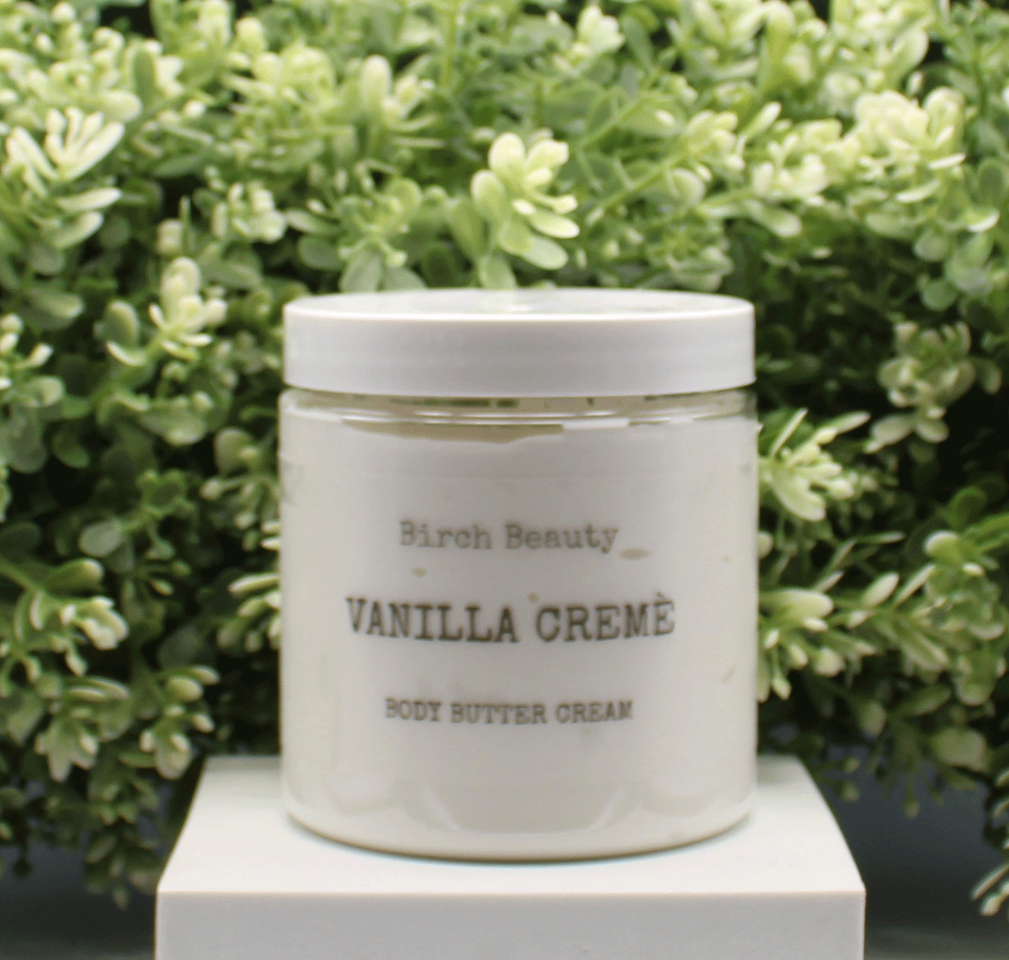 Jar of 'Vanilla Creme' body butter cream with 'Birch Beauty' branding on a light surface with greenery in the background. Handmade in Rhode Island. Made with limited ingredients.
