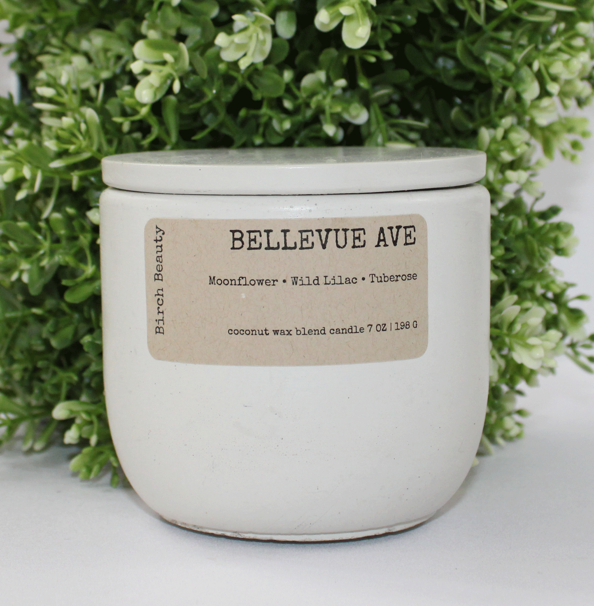 Coconut Soy blend candle made in Rhode Island  Birch Beauty