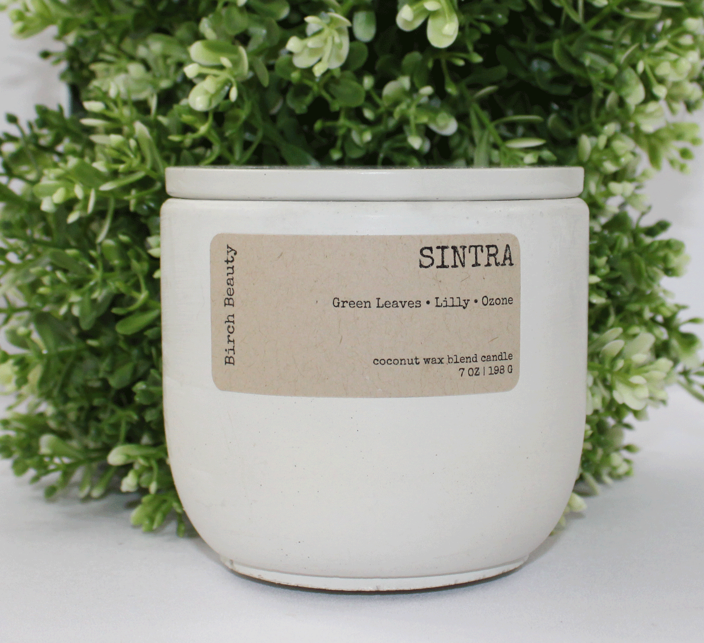 Coconut Soy blend candle made in Rhode Island  Birch Beauty